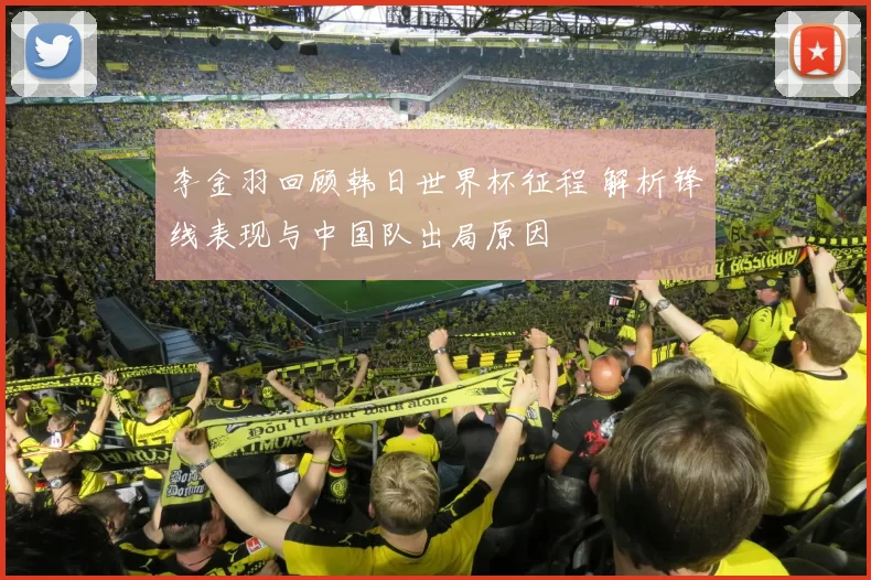 李金羽回顾韩日世界杯征程 解析锋线表现与中国队出局原因